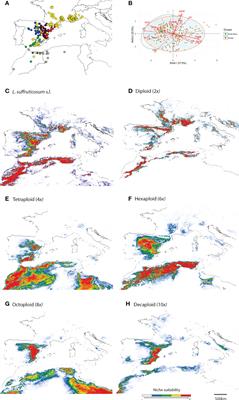 Ecological niches in the polyploid complex Linum suffruticosum s.l.